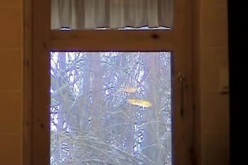 is working shooting nude females through the window